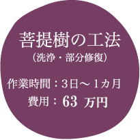 菩提樹の工法（洗浄・部分修復）