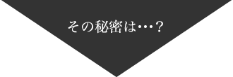 その秘密は・・・?